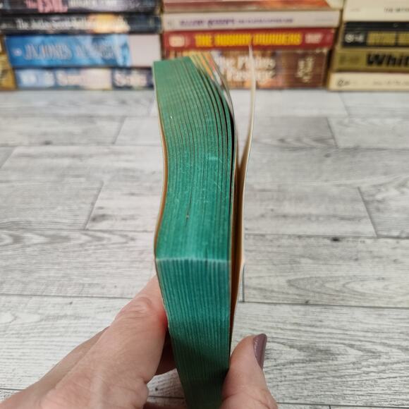 CHINDERA Nancy Cato 1976 Dell 1st Print Paperback Historical Fiction Brown Sugar - Picture 12 of 14